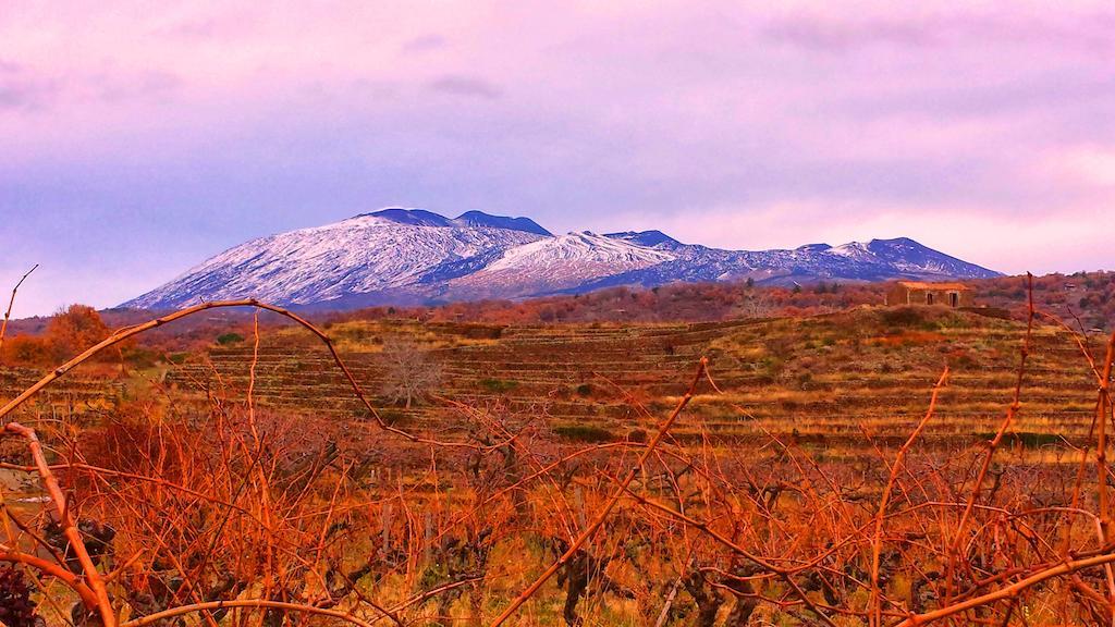 Etna Holiday Home Николози Екстериор снимка